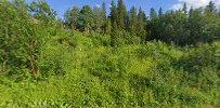 Halvarstua · Bilder 1